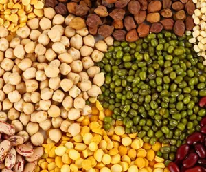 Grains & Pulses